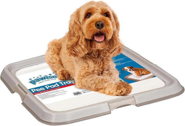 PAWISE PEE PAD HOLDER-L