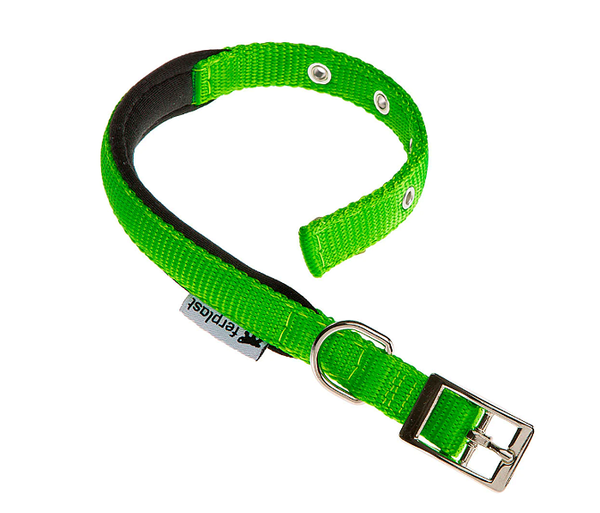 DAYTONA C25/45 COLLAR GREEN