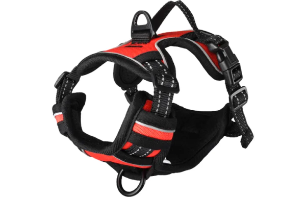 FLAMINGO HARNESS BALOU RED L